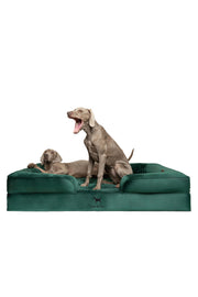 NOAH & PAW vue avant du lit XXL montrant soutien et confort