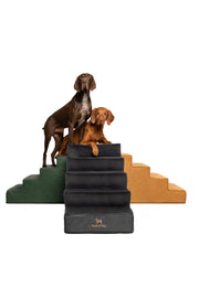 NOAH & PAW marches vue de face offrant stabilité et design