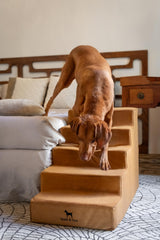 Noah & Paw coupe mousse haute densité offrant soutien durable