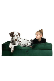 NOAH & PAW vue frontale du grand panier, confort visible pour chien
