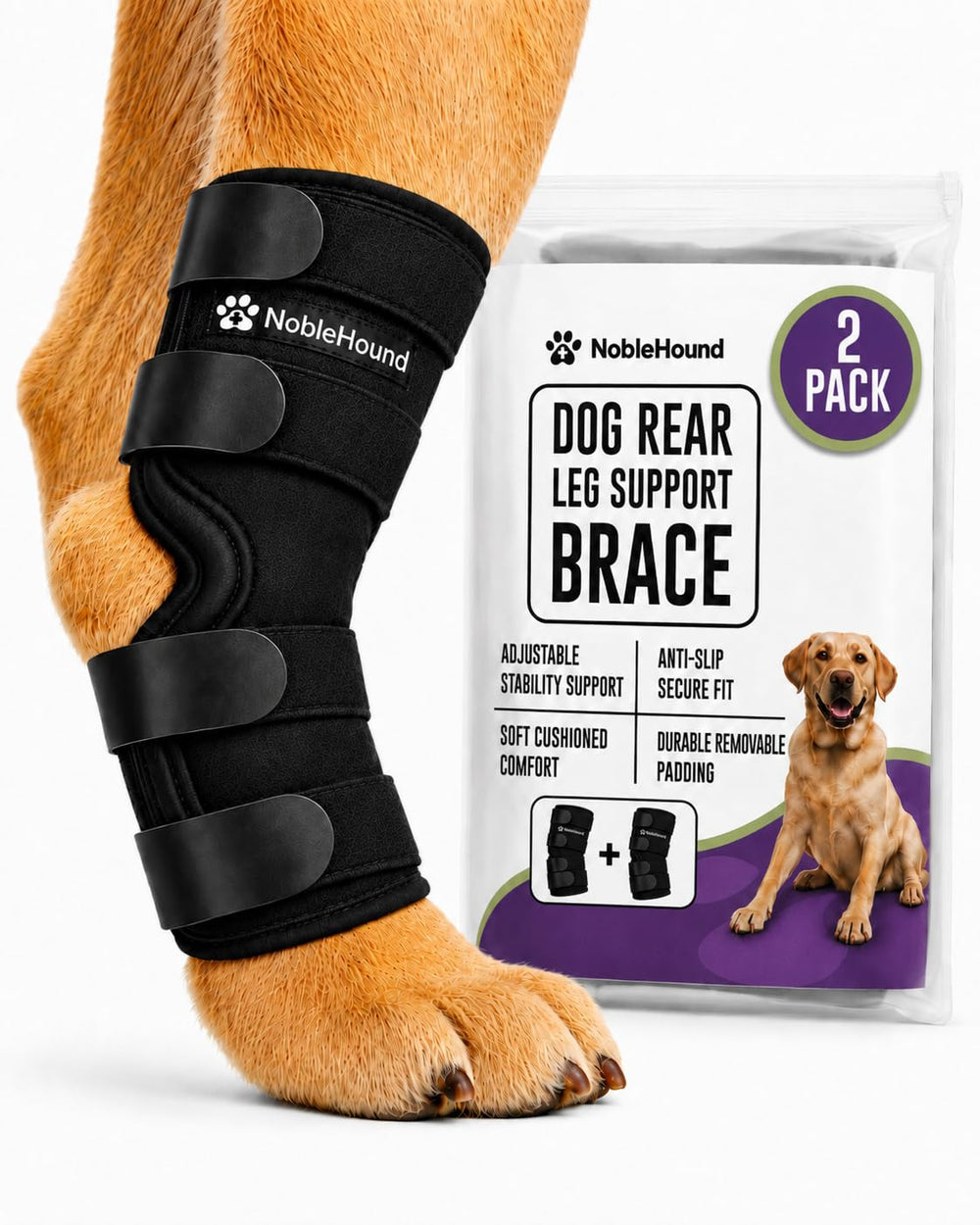 NobleHound vue frontale du lot pour maintenir le jarret et stabiliser la patte