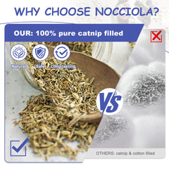 Nocciola gros plan texture du tissu, douceur et résistance pour les dents