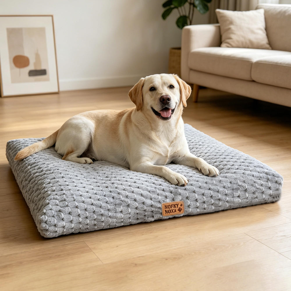 NOFKYNOXA coussin devant emballage, confort immédiat pour chien