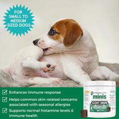 Nootie Progility Mini gros plan sur un masticable montrant texture appétente