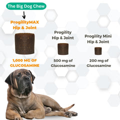 Nootie ProgilityMAX comparaison taille mastics versus main pour dosage clair