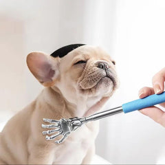 Nopikku gros plan râteau montrant dents espacées utiles pour enlever poils