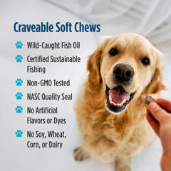 Nordic Naturals chew en main pour démontrer la taille pratique