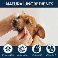 NOVEHA lingette utilisée autour de l'œil d'un chien, nettoyage doux et efficace