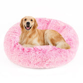 NOYAL lit donut face avant montrant forme ronde et confort