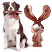 NTFWG emballage avant du jouet lapin durable montrant solidité et sécurité