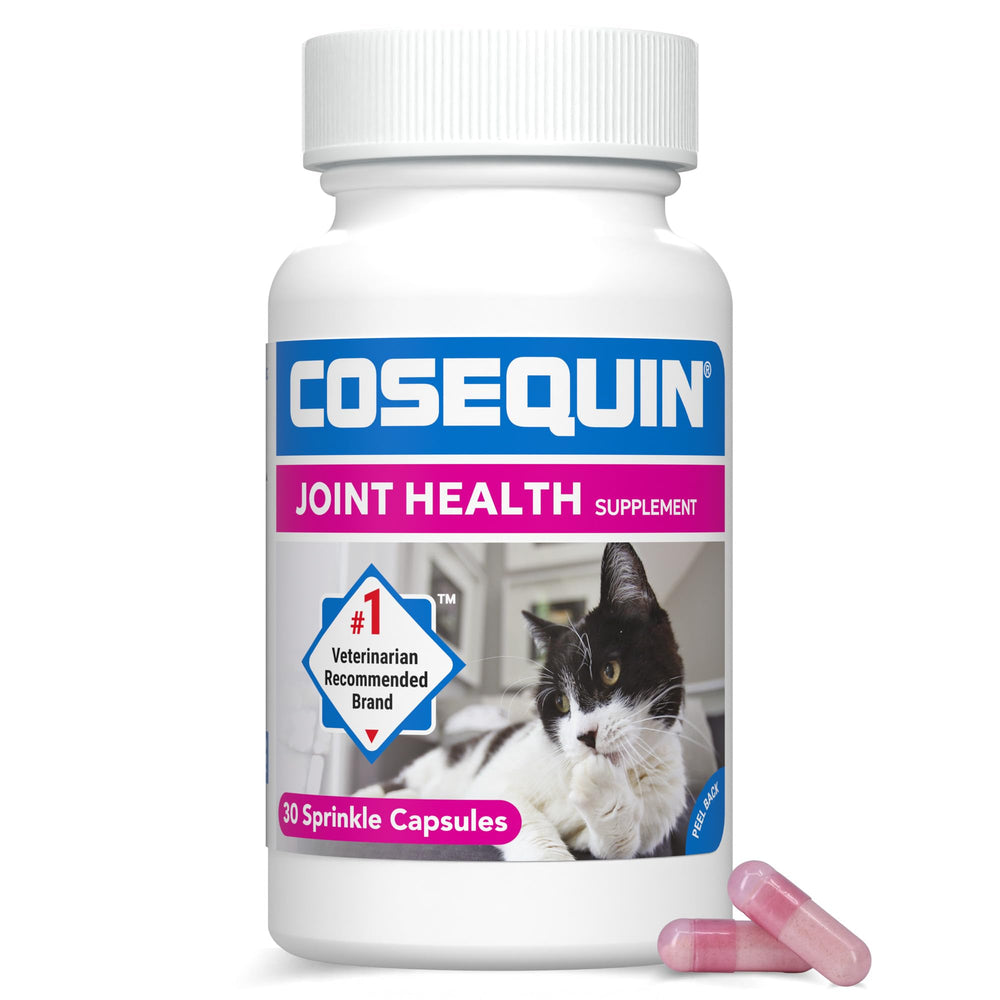 Nutramax Cosequin emballage avant montrant le format pratique