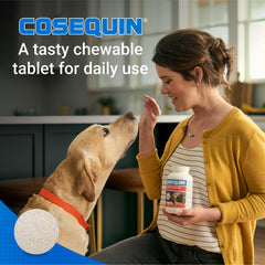 Nutramax Cosequin chien mange une tablette, bénéfice administration simple