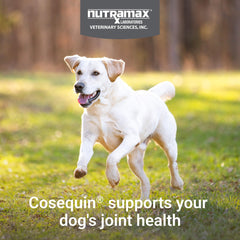 Nutramax Cosequin texture du comprimé mettant en avant appétence et maniabilité