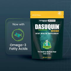 Nutramax Dasuquin MSM gros plan sur la texture des croquettes pour appétence