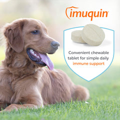 Nutramax Imuquin chiot mangeant la tablette, acceptation facile