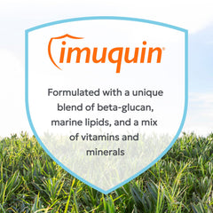 Nutramax Imuquin comprimé dans une main pour comparer la taille