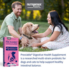 Nutramax Proviable capsule ouverte gros plan montrant poudre probiotique active