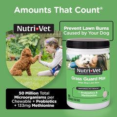 Nutri-Vet ingrédients affichés pour soutenir urine saine et digestion