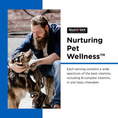 Nutri-Vet tablettes dans la main pour visualiser le format et le dosage
