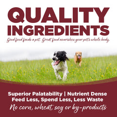 NutriSource chien mange dans une gamelle, favorise appétit et énergie