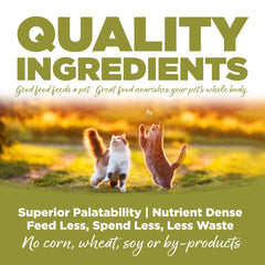 NutriSource bol de croquettes en usage, favorise digestion et appétence