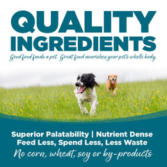 NutriSource pâtée servie dans un bol, facilite l’hydratation du chien