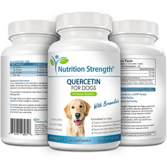 Nutrition Strength administration au chien montrant acceptation comme friandise