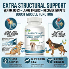 Nutrition Strength comprimé dans la paume pour visualiser la taille et faciliter le dosage
