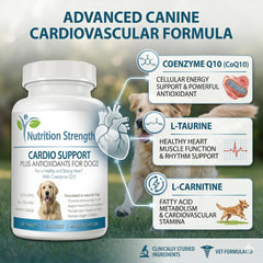 Nutrition Strength comprimé masticable gros plan, attrayant et facile à donner