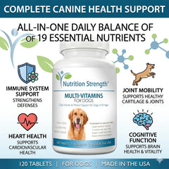 Nutrition Strength comprimé masticable en gros plan montrant forme et couleur appétente