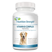 Nutrition Strength pot avant montrant l'étiquette et bénéfice complément B