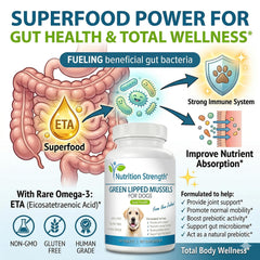 Nutrition Strength comprimés dans la main pour visualiser dosage