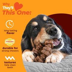 Nylabone anneau en main pour évaluer la taille x-large facilement