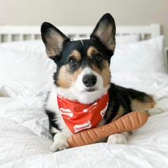 Nylabone gros plan sur la texture en nylon durable pour une mastication prolongée