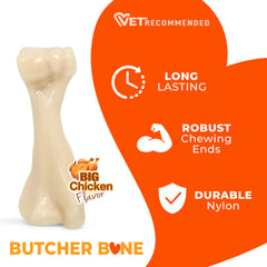 Nylabone chien grande race mâchant l'os pour divertissement et réduction destructivité