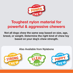 Nylabone chien mâchant en extérieur, réduit ennui et comportements destructeurs