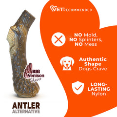 Nylabone comparaison avec une main pour visualiser la taille Large utile