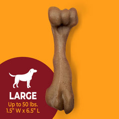 Chien mâchant Nylabone femur pour occupation et stimulation mentale