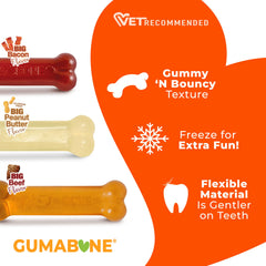 Nylabone lot de trois jouets pour rotation et durée accrue