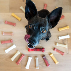 Nylabone fourche ergonomique mise à l'échelle pour prise facile