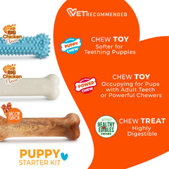 Nylabone emballage de la friandise Healthy Edibles, digestibilité élevée