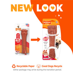 Nylabone os en main pour montrer l’échelle et solidité