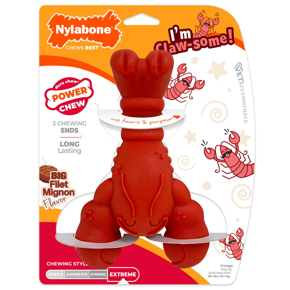 nylabone face avant montrant le jouet lobster et sa robustesse