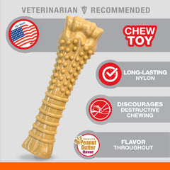 Nylabone os en main illustre la taille X-Large pour chiens 50+ lb