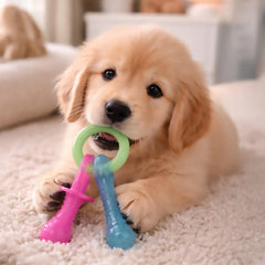Nylabone pacifier vu de profil mettant en valeur l'anneau ergonomique