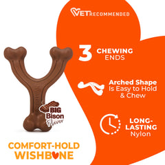 Nylabone chiot mordillant le wishbone, distraction et satisfaction