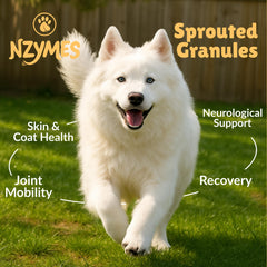 Gros plan sur la texture des granulés Nzymes pour un apport enzymatique visible