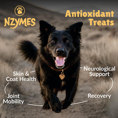 Nzymes gros plan texture friandise pour appétence et qualité