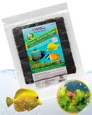 Ocean Nutrition emballage avant montrant 50 feuilles et informations produit