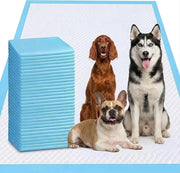 Odorless emballage des tapis XXXXL montrant quantité et format, protection immédiate